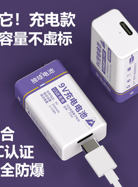 独吱 9V可充电电池 usb充电万用表话筒吉他遥控检测仪方块电池