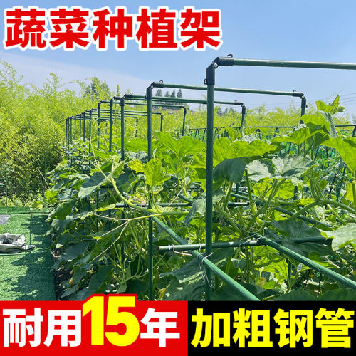 爬藤架葡萄黄瓜豆角架种菜花支架庭院园艺花卉植物支撑杆西红柿架