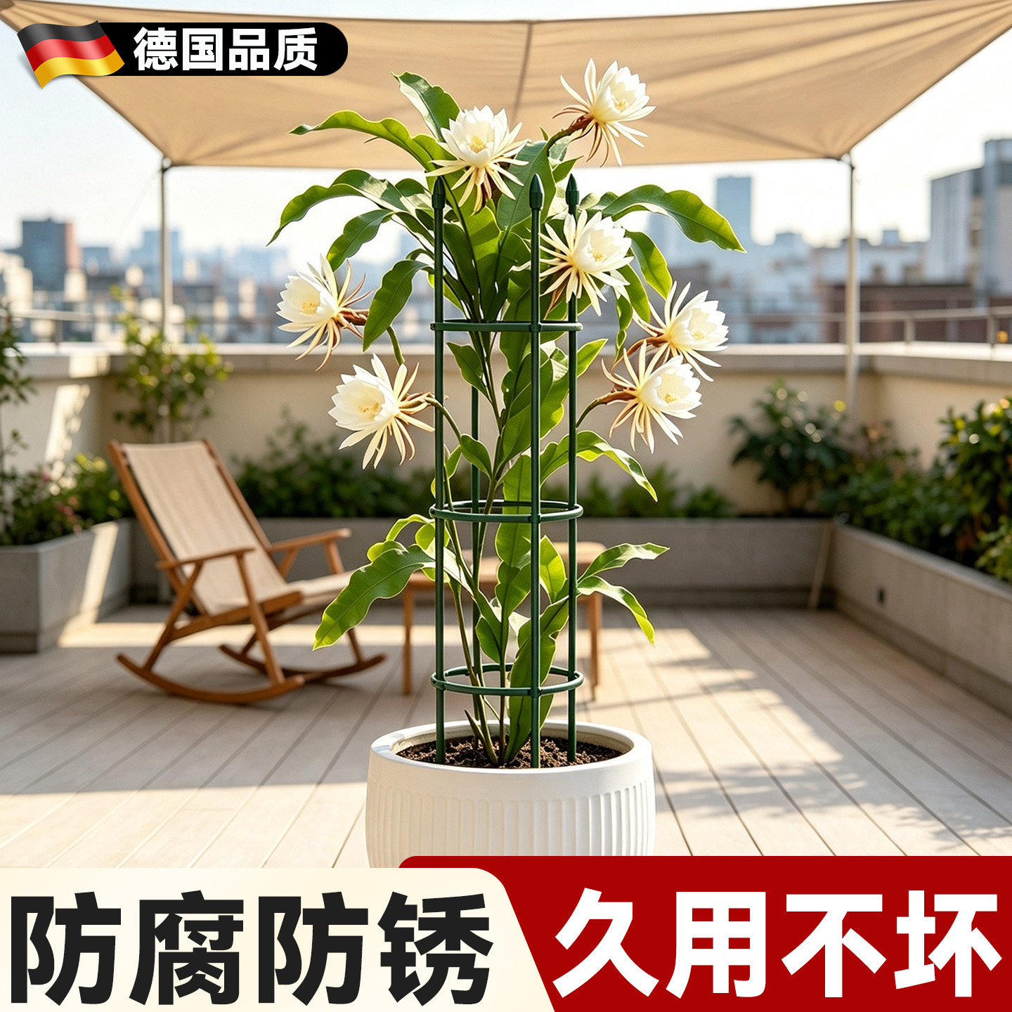 昙花专用支架植物固定支撑架花爬架庭院盆栽花卉爬藤植物花架园艺图片