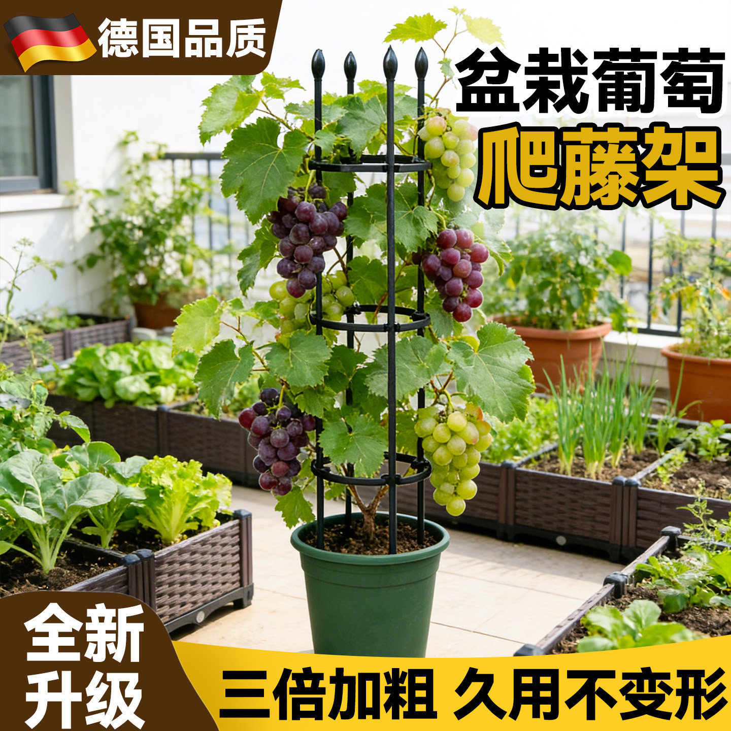 盆栽黄瓜支撑架黄瓜豆角爬藤支架图片