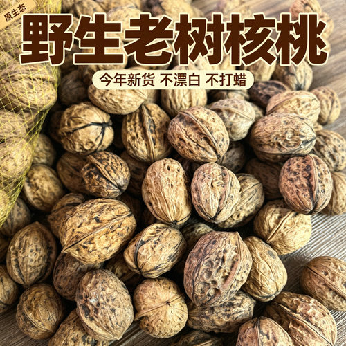 秦岭老树核桃2026新货晒干无漂白商洛野生山核桃厚皮陕西土特产