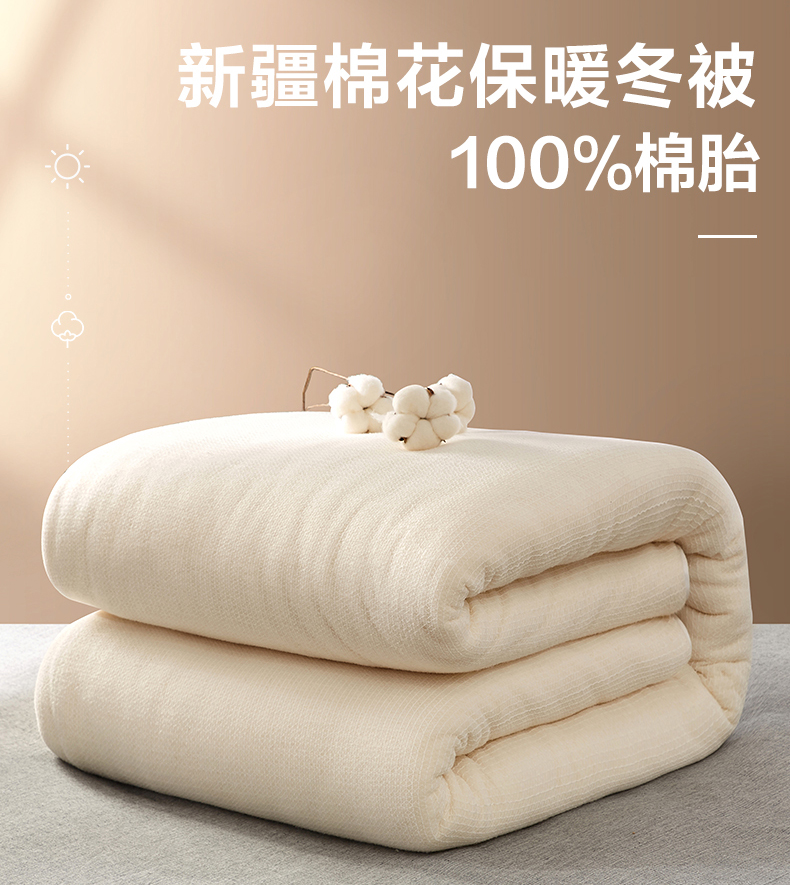 天山 新疆棉被  棉花被子 被芯 棉絮 棉胎垫被空调被春秋冬被