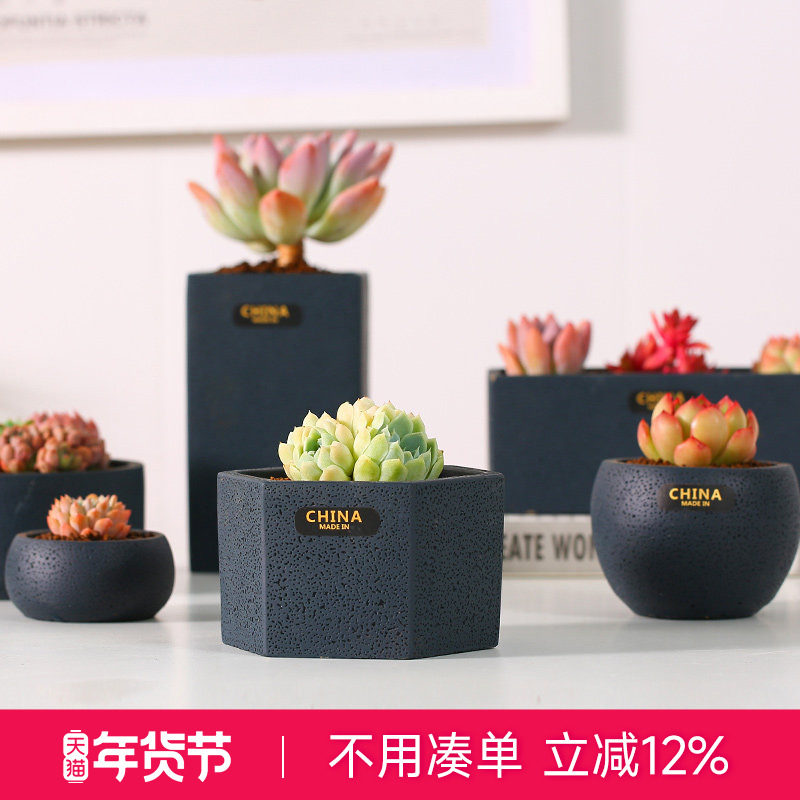 云南直发MuMuHome多肉花盆简约欧式个性创意多肉植物水泥花盆盆器,鲜花速递/花卉仿真/绿植园艺,花盆,淘宝优惠券,粉丝福利购,淘宝优惠卷