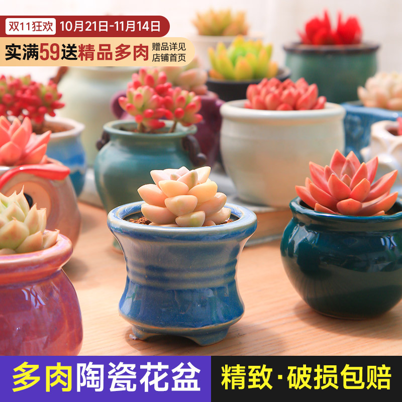 盆器多肉植物小摆放可爱简约花卉办公桌微景观精个性透气陶瓷花盆