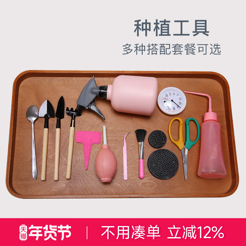 云南直发MuMuHome多肉植物盆栽喷水壶种花园艺工具套装花卉小铁铲,鲜花速递/花卉仿真/绿植园艺,铲子,淘宝优惠券,粉丝福利购,淘宝优惠卷
