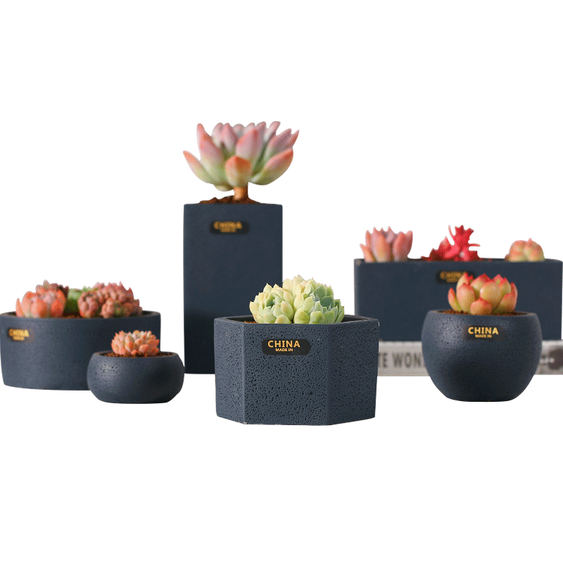 直发mumuhome欧式风水泥多肉花盆