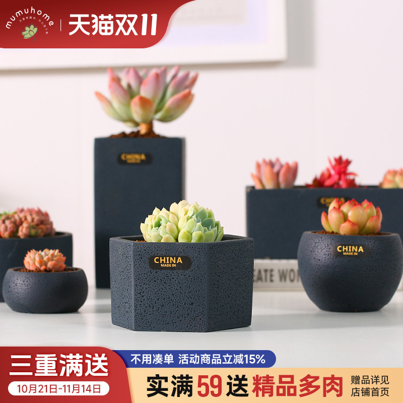 云南直发MuMuHome多肉花盆简约欧式个性创意多肉植物水泥花盆盆器