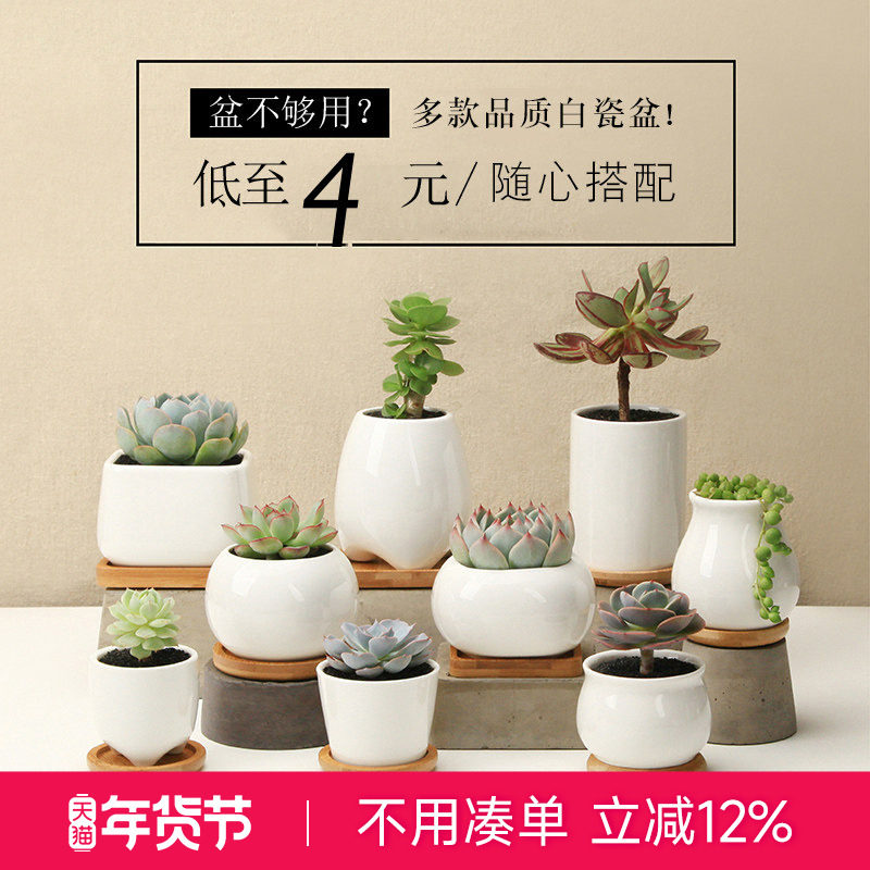 云南直发MuMuHome多肉植物花盆创意盆栽简约白瓷肉肉陶瓷多肉花盆,鲜花速递/花卉仿真/绿植园艺,花盆,淘宝优惠券,粉丝福利购,淘宝优惠卷