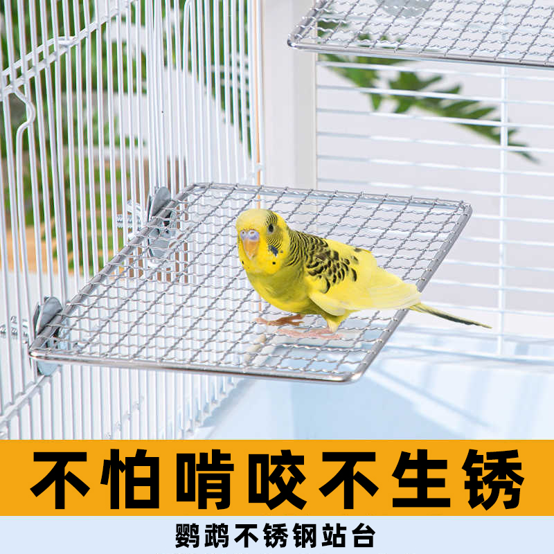 【不锈钢材质】不生锈鹦鹉站台