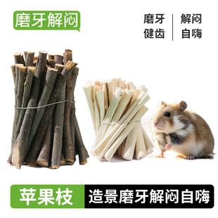 金丝熊仓鼠磨牙棒苹果枝零食可食用面包虫干瓜子专用必备生活用品
