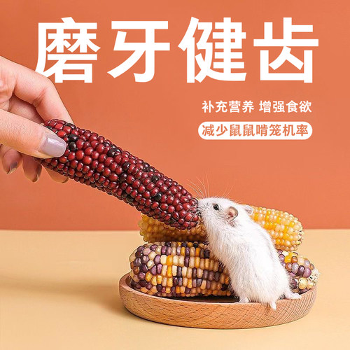 仓鼠磨牙小玉米棒花枝鼠金丝熊零食彩色可造景营养粮食玩具用品