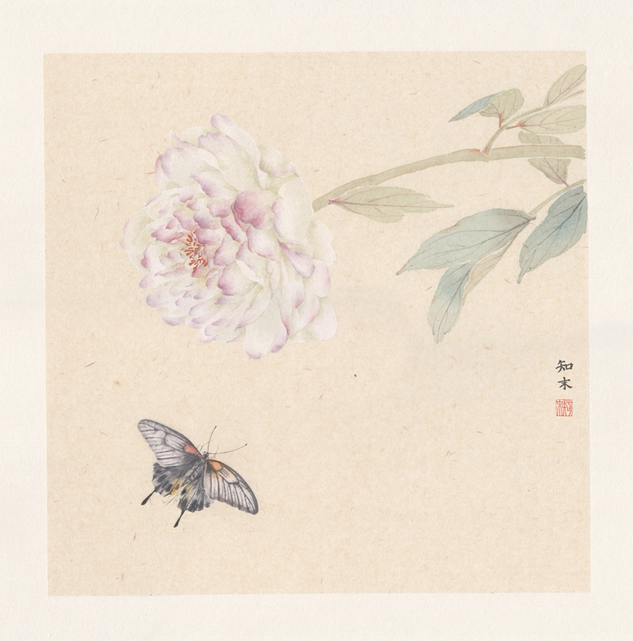 桑皮卡 纸没骨国画 工笔画 熟纸 多好画社 正方形 圆形 芭蕉形 椭