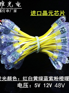 LED外露灯串招牌发光字6mm9mm12mm穿孔灯珠冲孔字防水灯珠5V12V