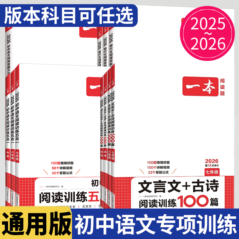 2025一本现代文阅读课外文言文