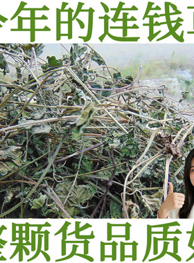 连钱草透骨消活血丹1斤装包邮
