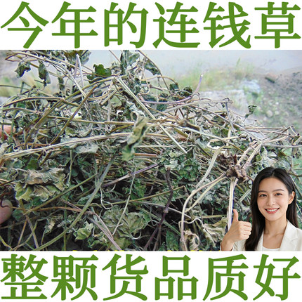 徐草堂连钱草透骨消中药材铜钱草金钱草金钱薄荷落地金钱今年新货
