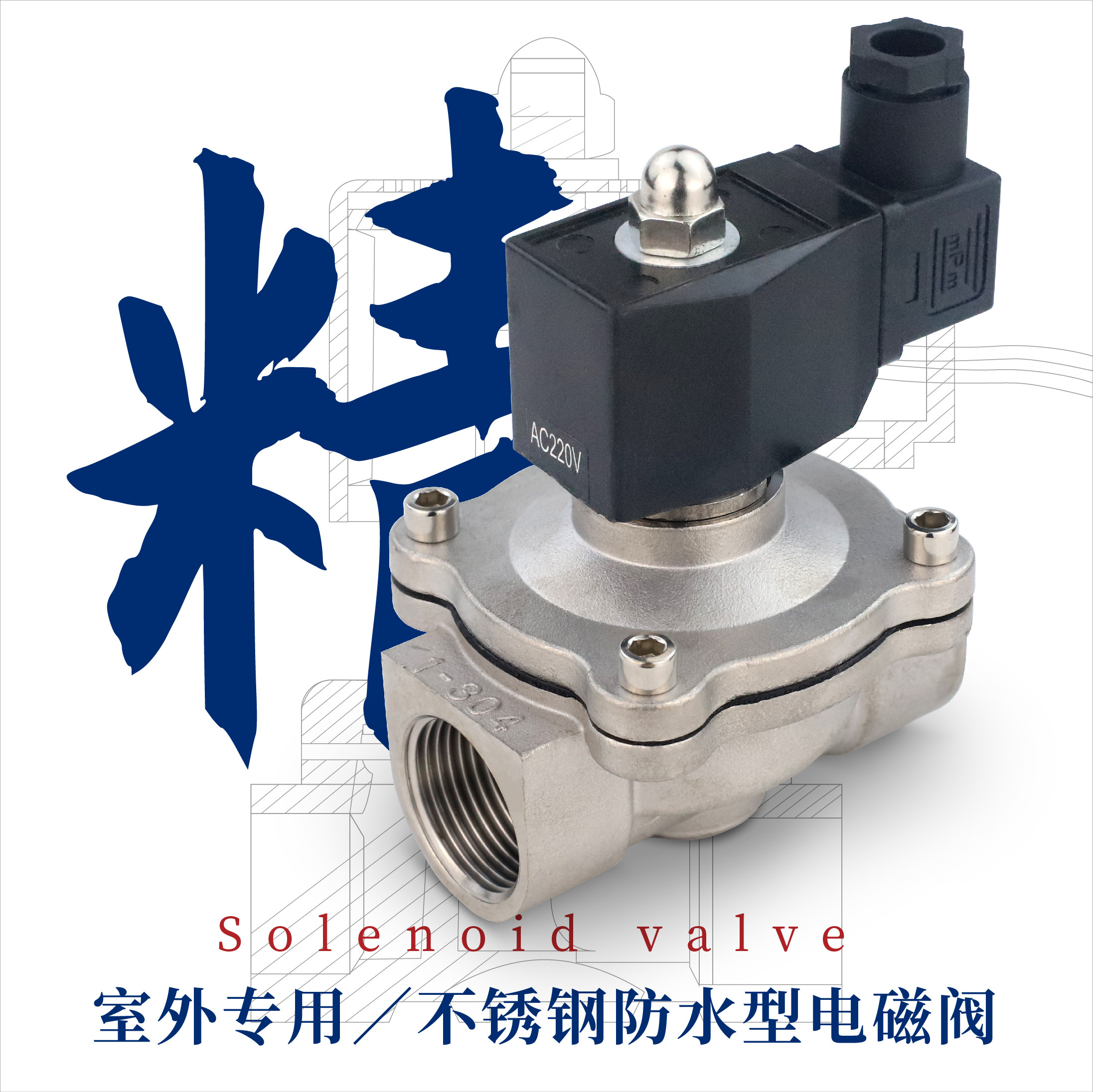 304不锈钢 防水电磁阀电磁开关阀220V水气用DN15 DN25现货