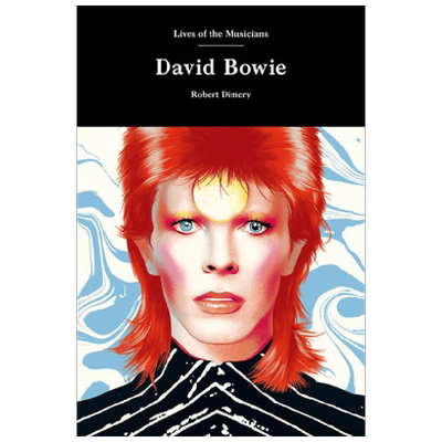 英文原版 DavidBowie 大卫·鲍伊