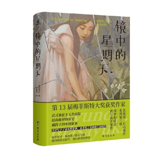 镜中的星期天 殊能将之 著 小说