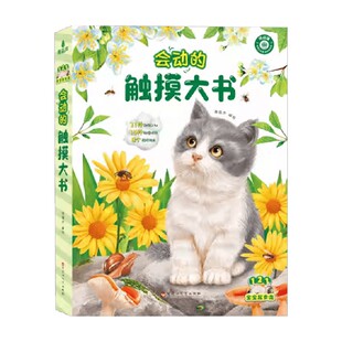 121宝宝起步走 会动的触摸大书 0-2-3岁 青葫芦 编著 幼儿启蒙