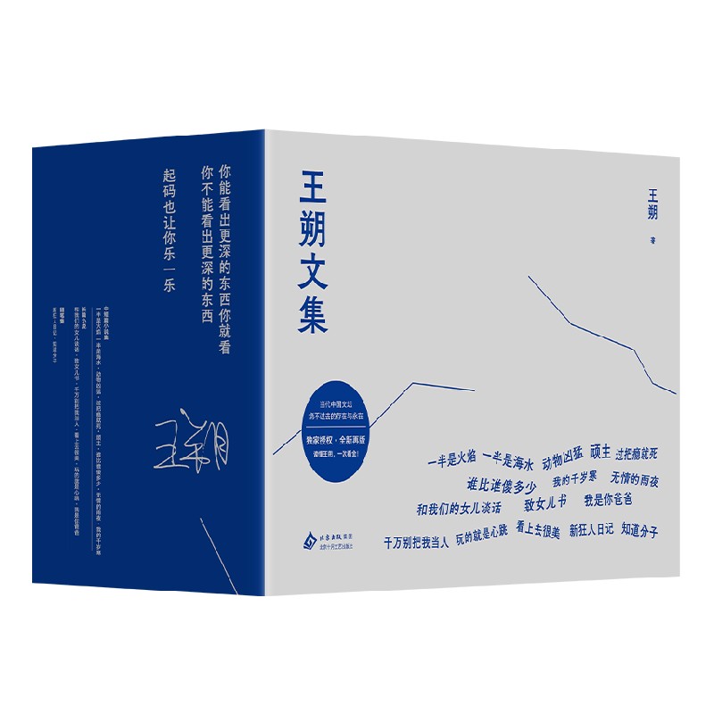 王朔文集 王朔 著 小说