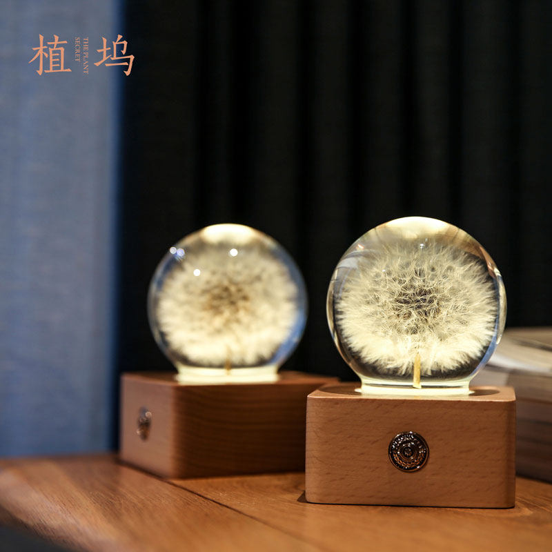 超大朵蒲公英夜灯 植坞木质水晶球灯永生花生日男女礼物文创