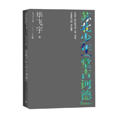 苏北少年 堂吉诃德 毕飞宇 著 文学