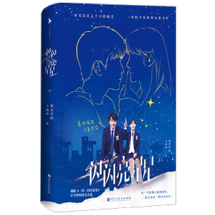 【赠原声语音纪事+张万森报名表+纸飞机】一闪一闪亮星星 数星星的小森林 著  屈楚萧张佳宁演电影电视剧授权小说 青春文学
