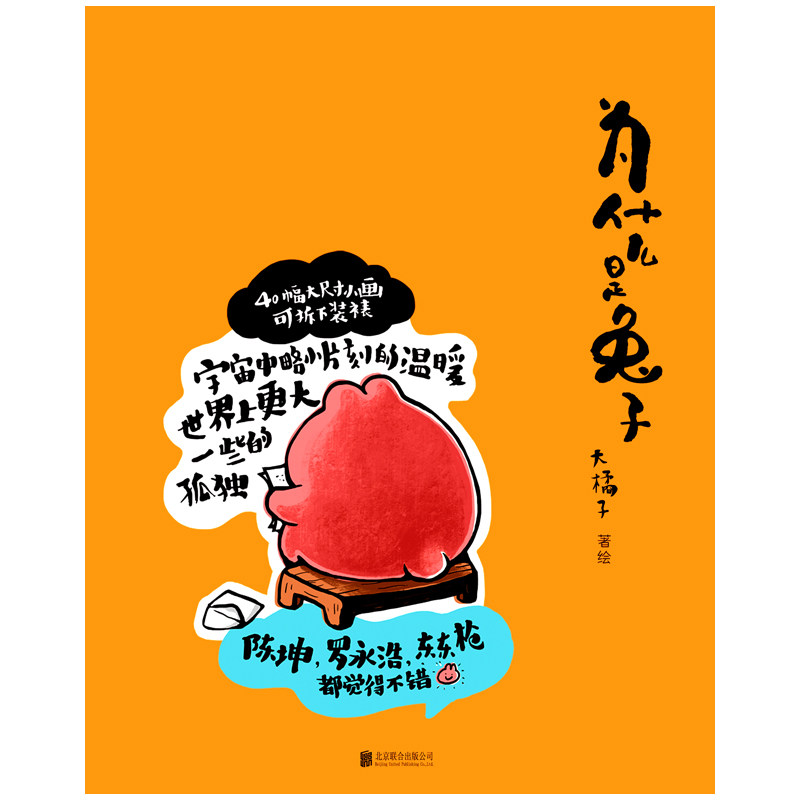 为什么是兔子 大橘子 著 动漫