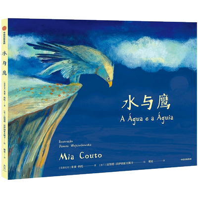 水与鹰 米亚科托 达努塔·沃伊切霍夫斯卡 著 美学启蒙课 情感教育课 亲子阅读 中信出版社图书 正版书籍