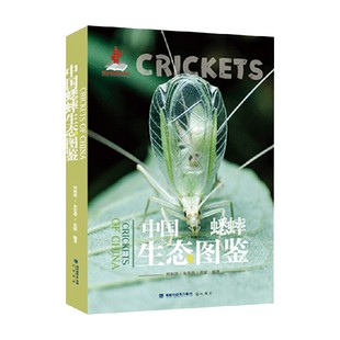 科学与自然 编著 中国蟋蟀生态图鉴 何祝清等