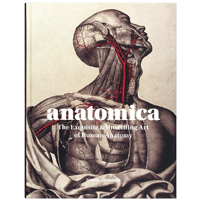 英文原版 Anatomica 解刨术