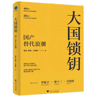 大国锁钥 国产替代浪潮 曾航等 著 经济