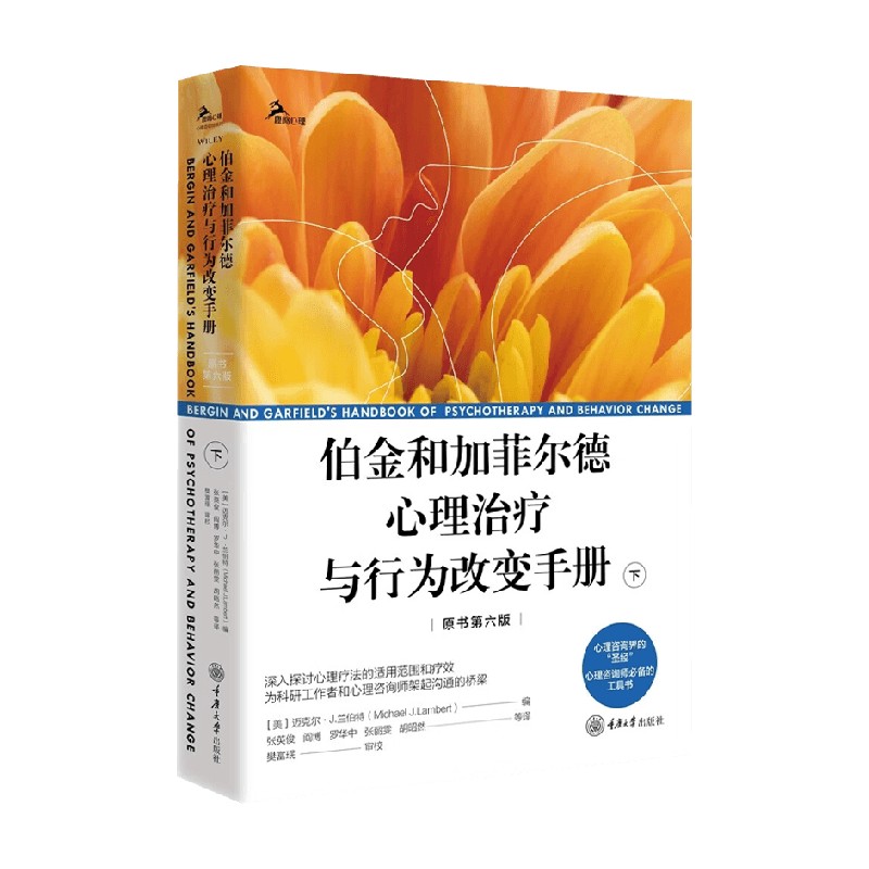 迈克尔J兰伯特心理学理论