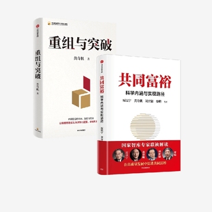 重組與突破 黃奇帆等 著 經濟 共同富裕