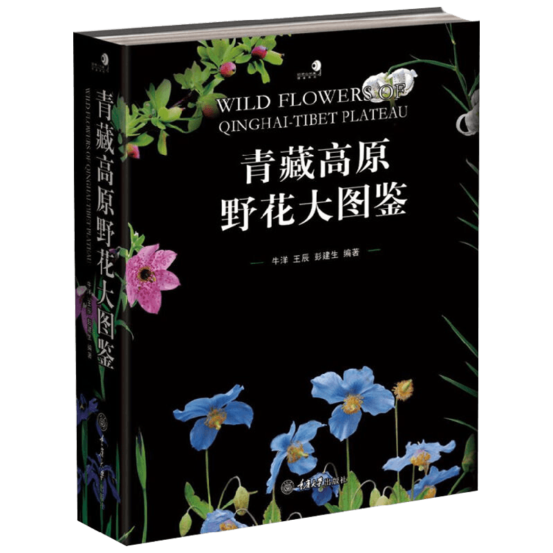 青藏高原野花大图鉴 牛洋等 著 科普读物