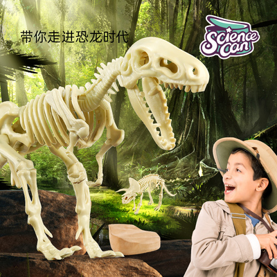 科学罐头 霸王龙中生代白垩纪高级恐龙化石挖掘套装装 儿童学生仿真模拟工具科普考古恐龙知识 礼物文创