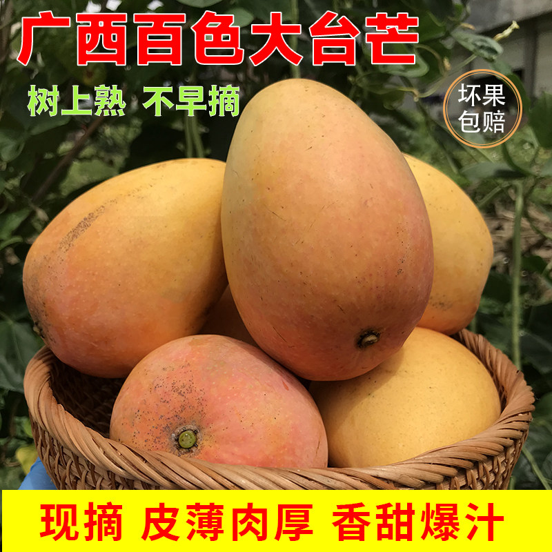 广西芒果大台芒新鲜水果10应当季现摘礼盒大果包邮百色小台农芒果