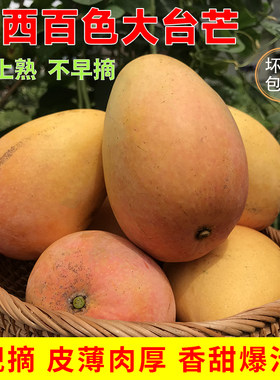 广西芒果大台芒新鲜水果10应当季现摘礼盒大果包邮百色小台农芒果