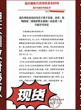 新鲜松茸6-8cm现货顺丰发货