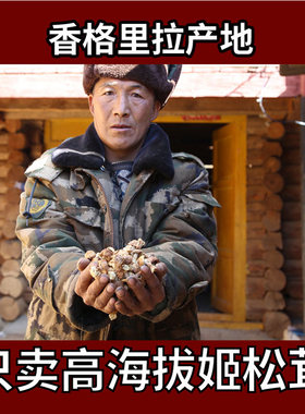 高海拔半野生1送1共姬松茸干货