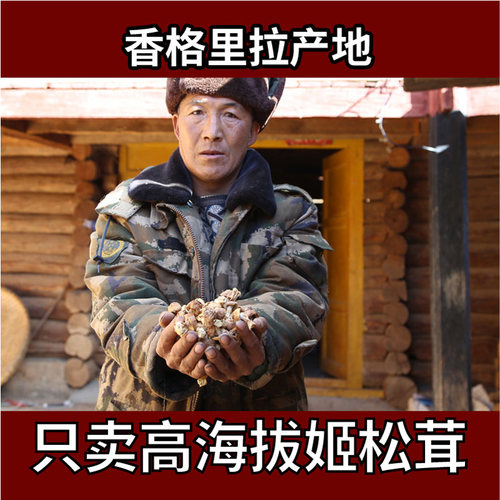 高海拔半野生1送1共姬松茸干货