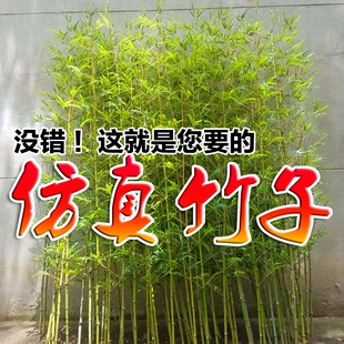 高仿真竹子屏风室内装 饰仿生假竹子仿真植物隔断挡墙围栏竹林造景