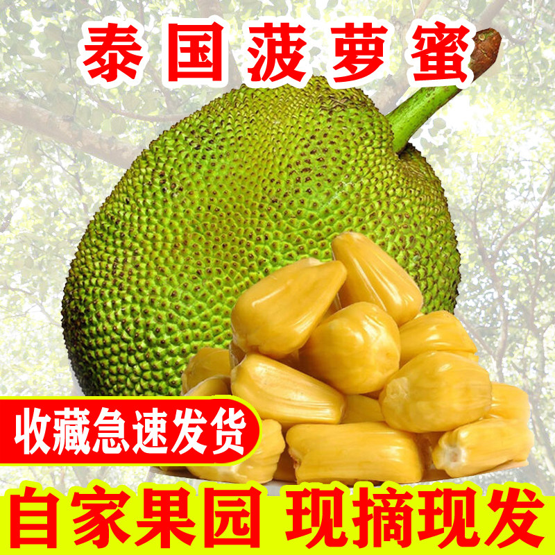 现摘泰国新鲜水果广东菠萝蜜