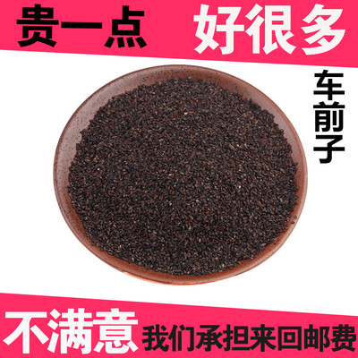 车前子江西中药材500g包邮