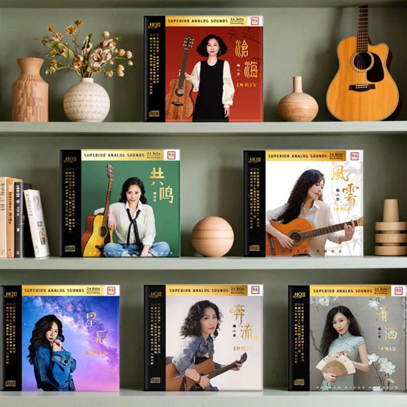 正版梅小琴共鸣全套 CD 国粤语经典老歌车载无损HiFi发烧人声碟