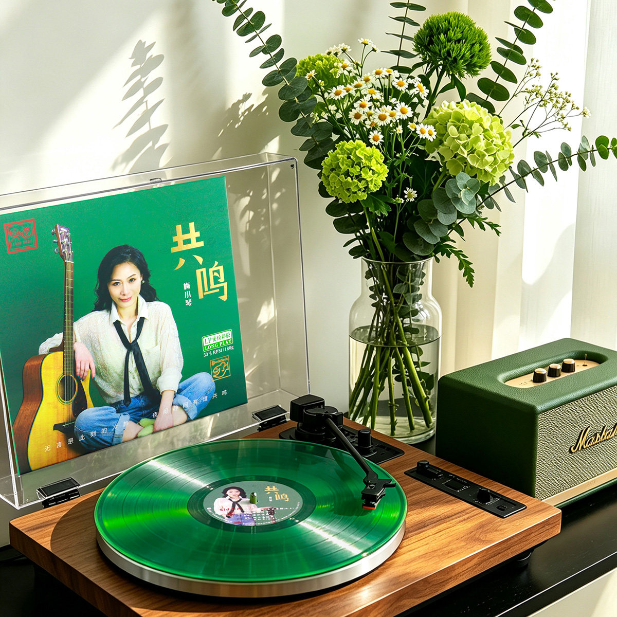 正版梅小琴《共鸣》绿胶 LP 人声发烧黑胶唱片大碟 老虎鱼母带