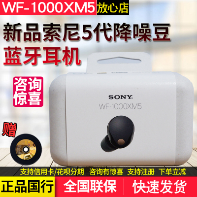 sony索尼降噪豆5代新品