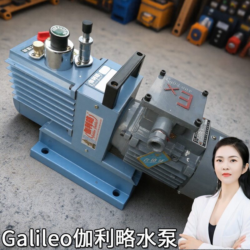 型抽燃煤辽宁模具四川直联旋片真空泵2XZ8Bxz05吸力刹电动汽车泵