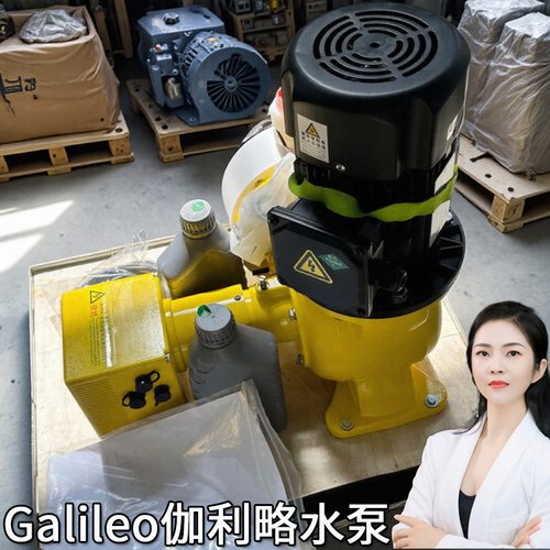 计量型蠕动泵耐腐蚀隔膜计量泵双头柱塞计量泵电控计量泵